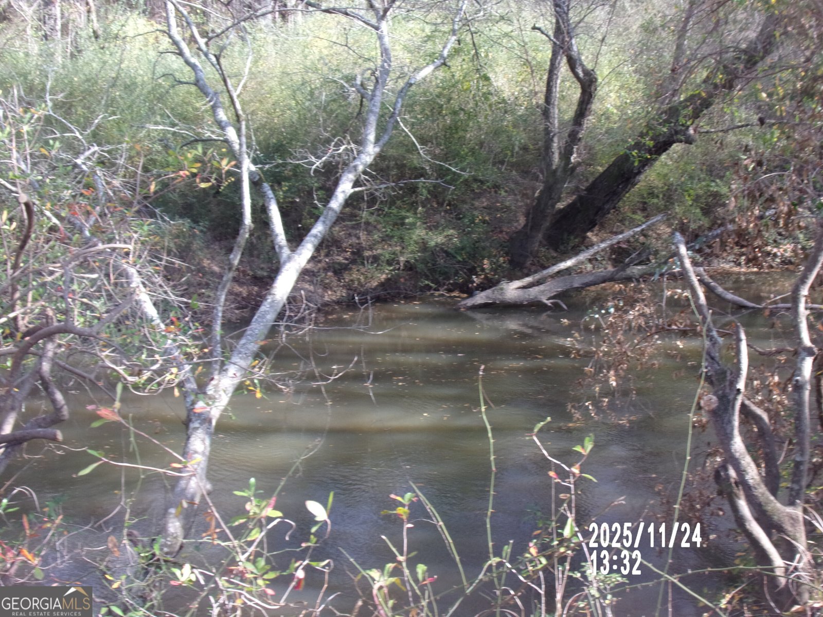 781 N Delray Thomaston - 9