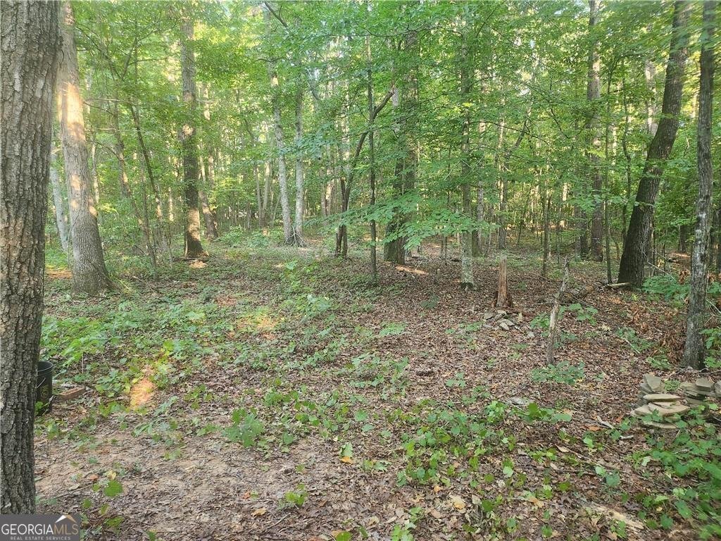 340 Pat Rich Drive Canton - 4