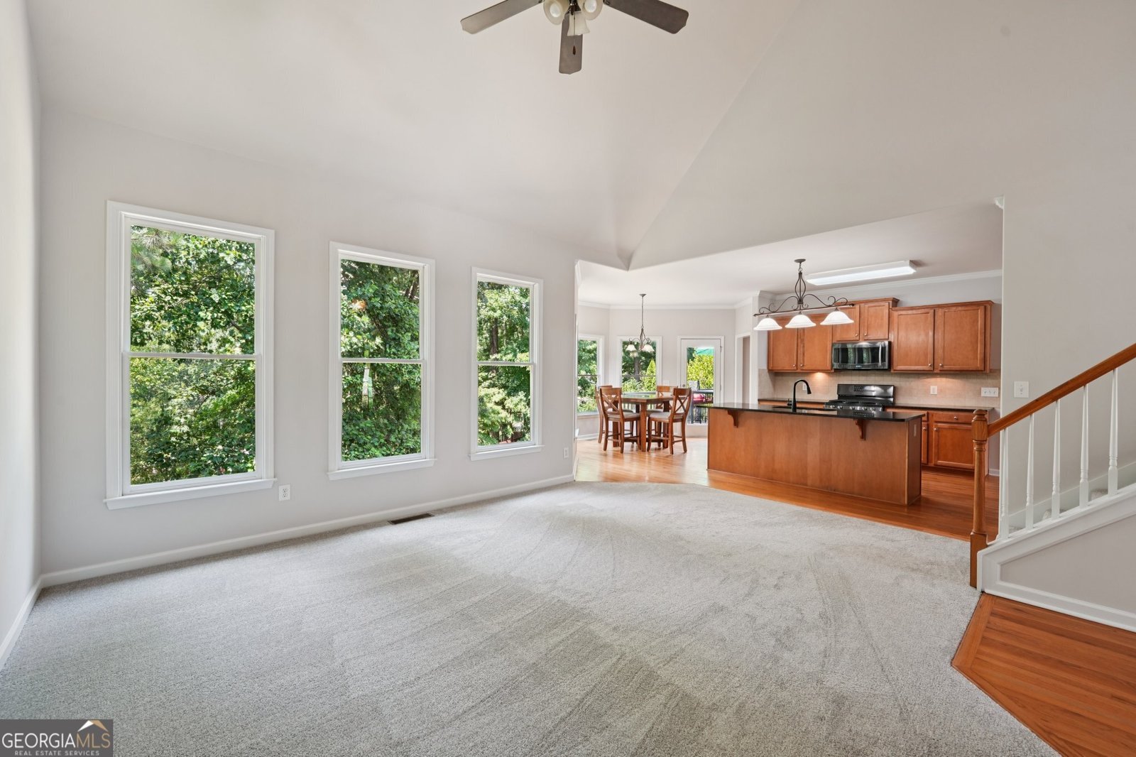 152 Gold Mill Place Canton - 12