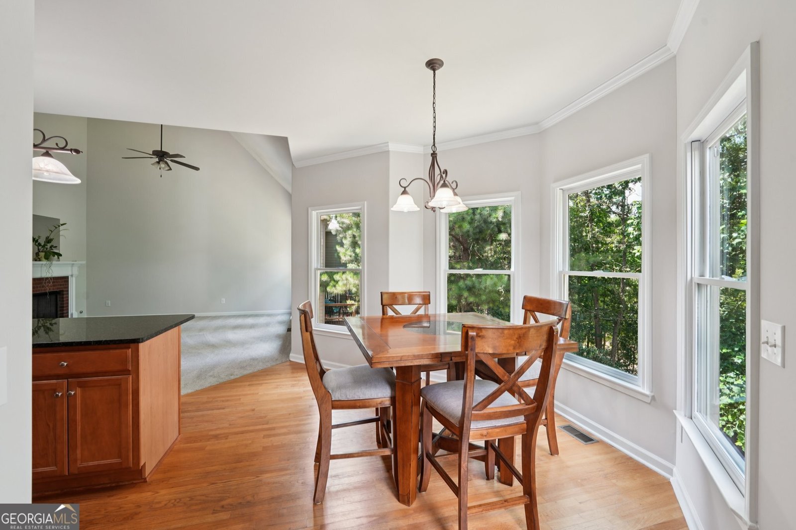 152 Gold Mill Place Canton - 28