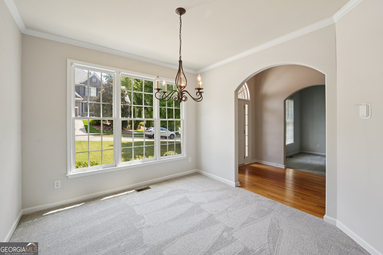 152 Gold Mill Place Canton - 8