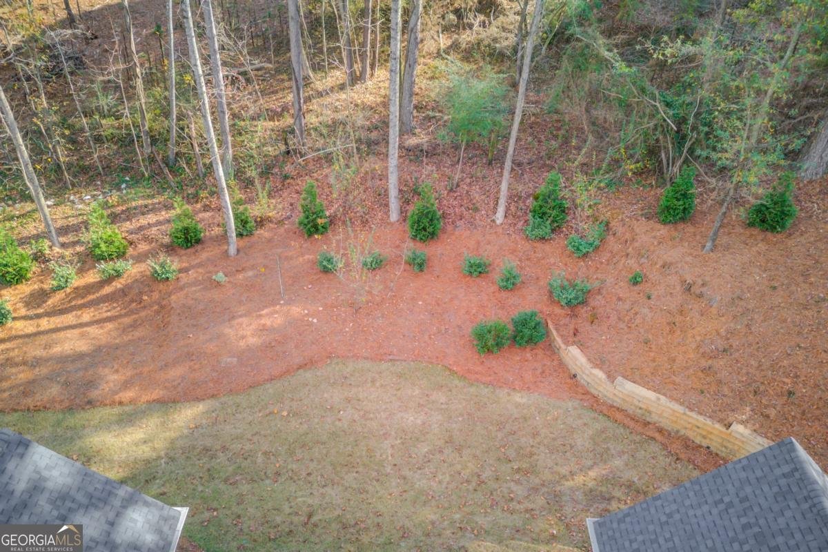 3690 Smithtown Road Suwanee - 41