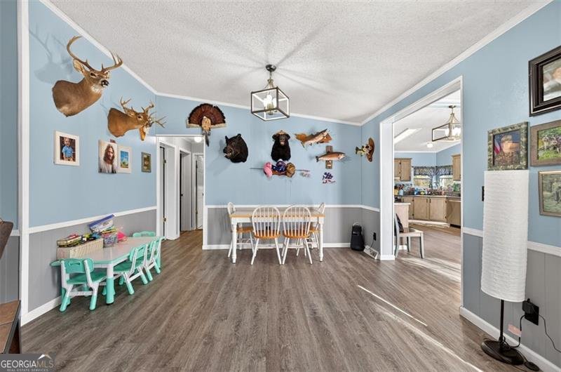 372 PORTER SPRINGS Dahlonega - 10