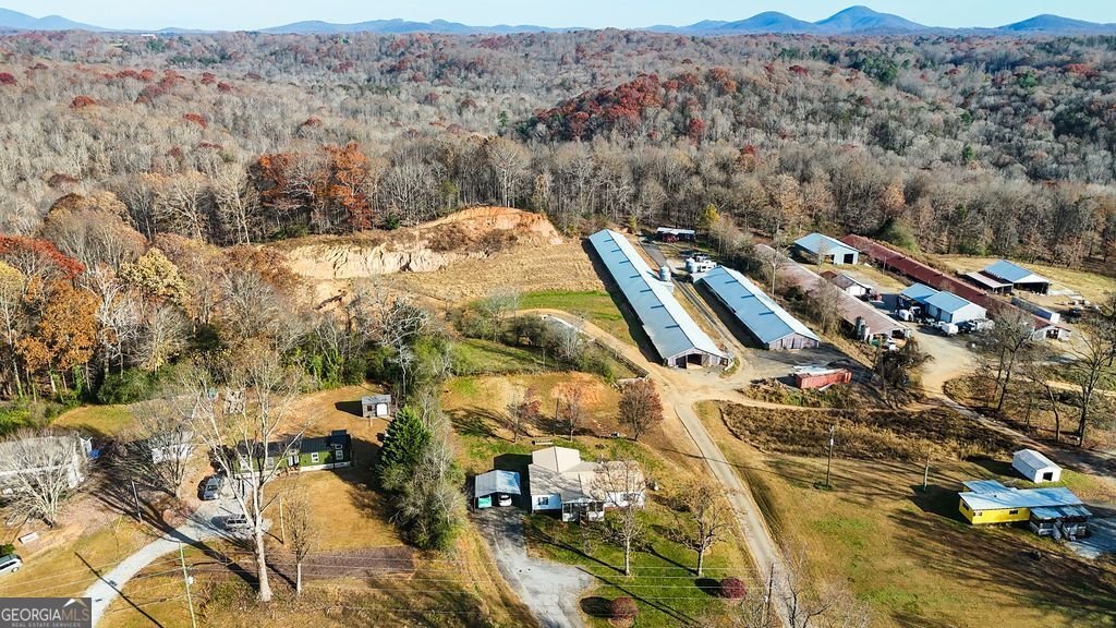 372 PORTER SPRINGS Dahlonega - 3