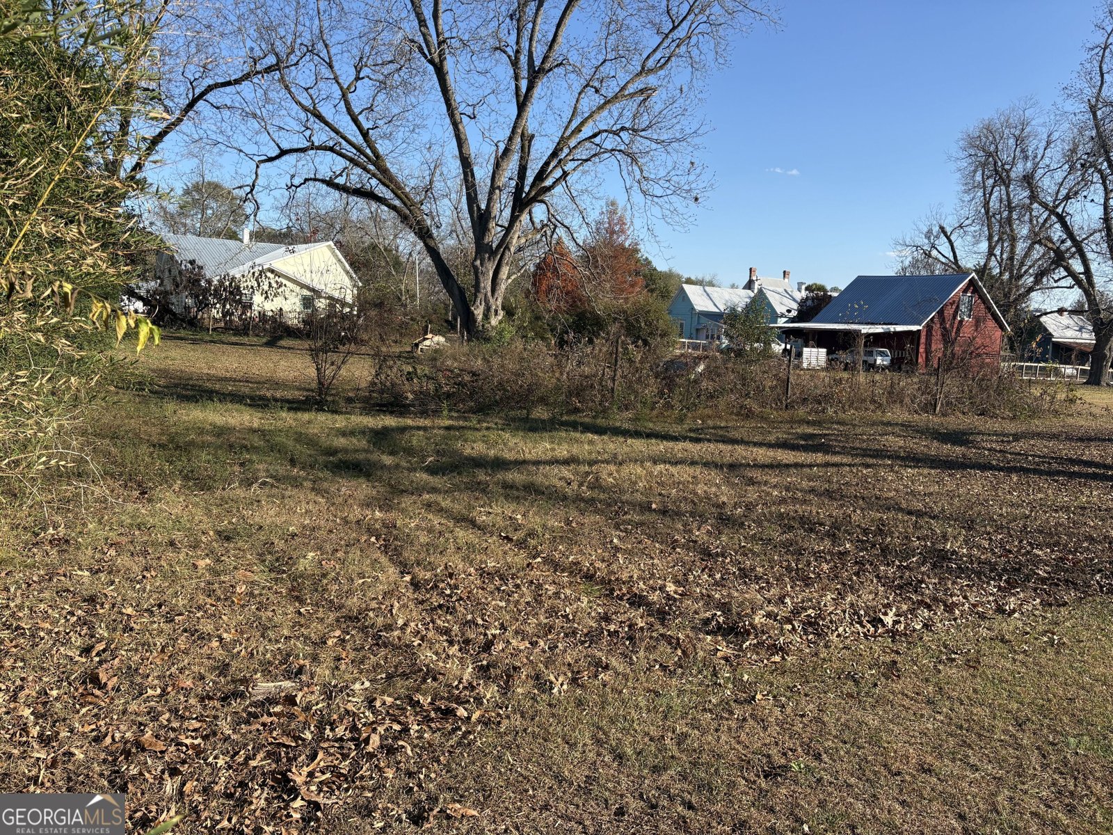 151 College Street Parrott - 2