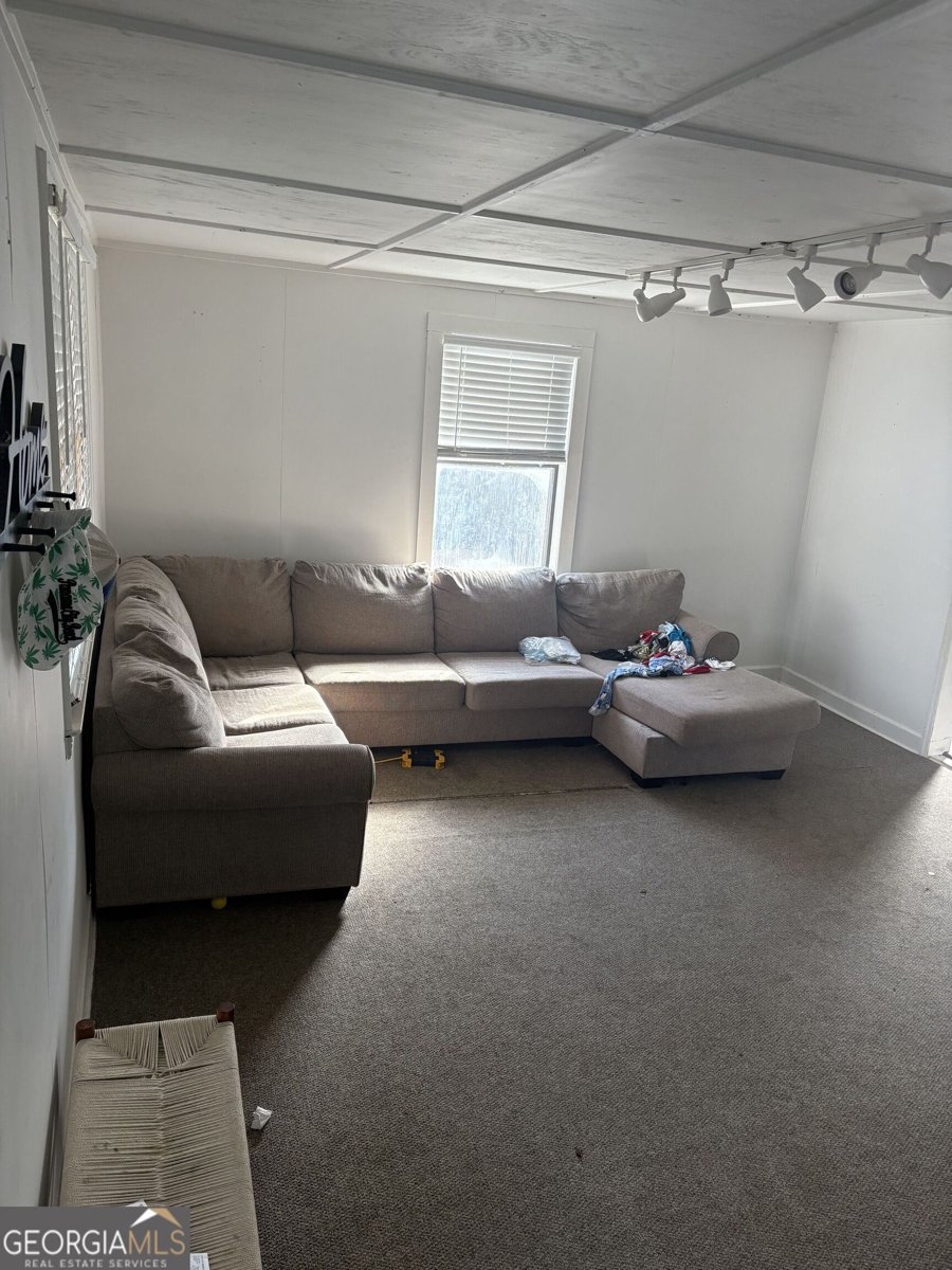 151 College Street Parrott - 5