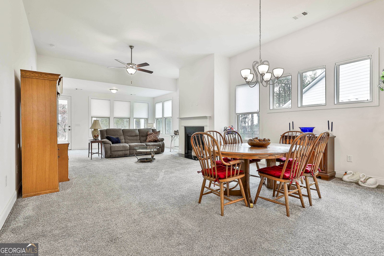 541 Hazelnut Drive Peachtree City - 13