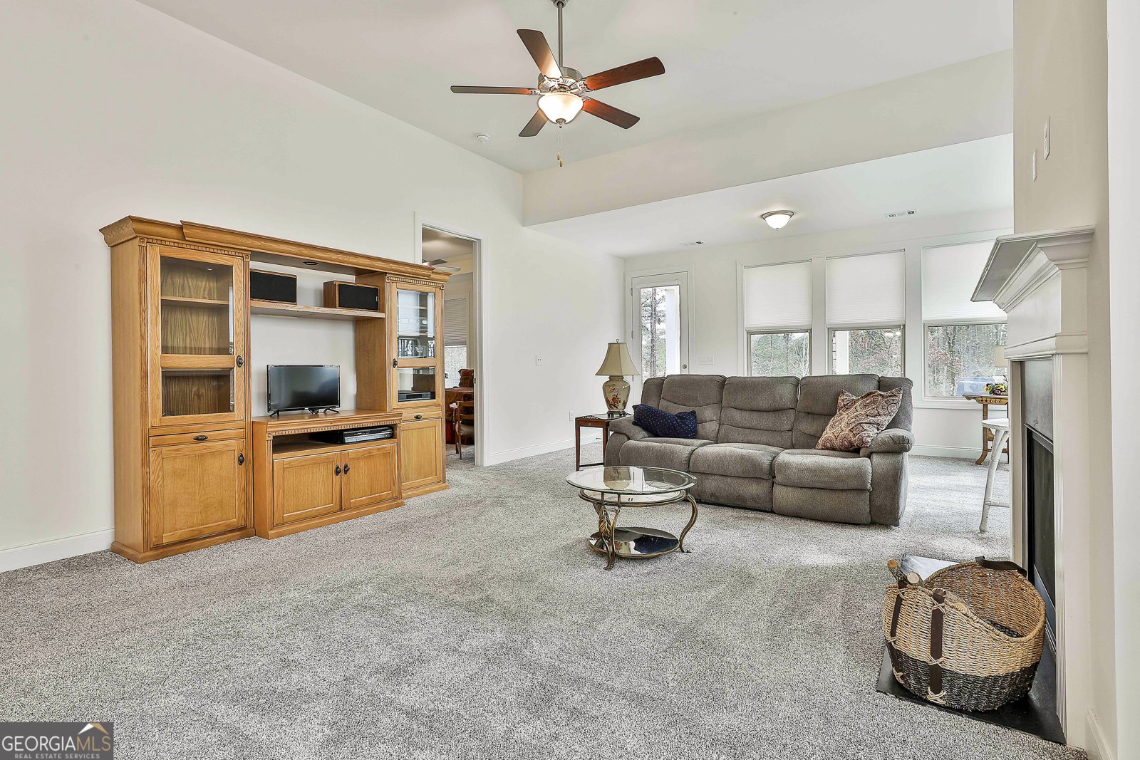 541 Hazelnut Drive Peachtree City - 16