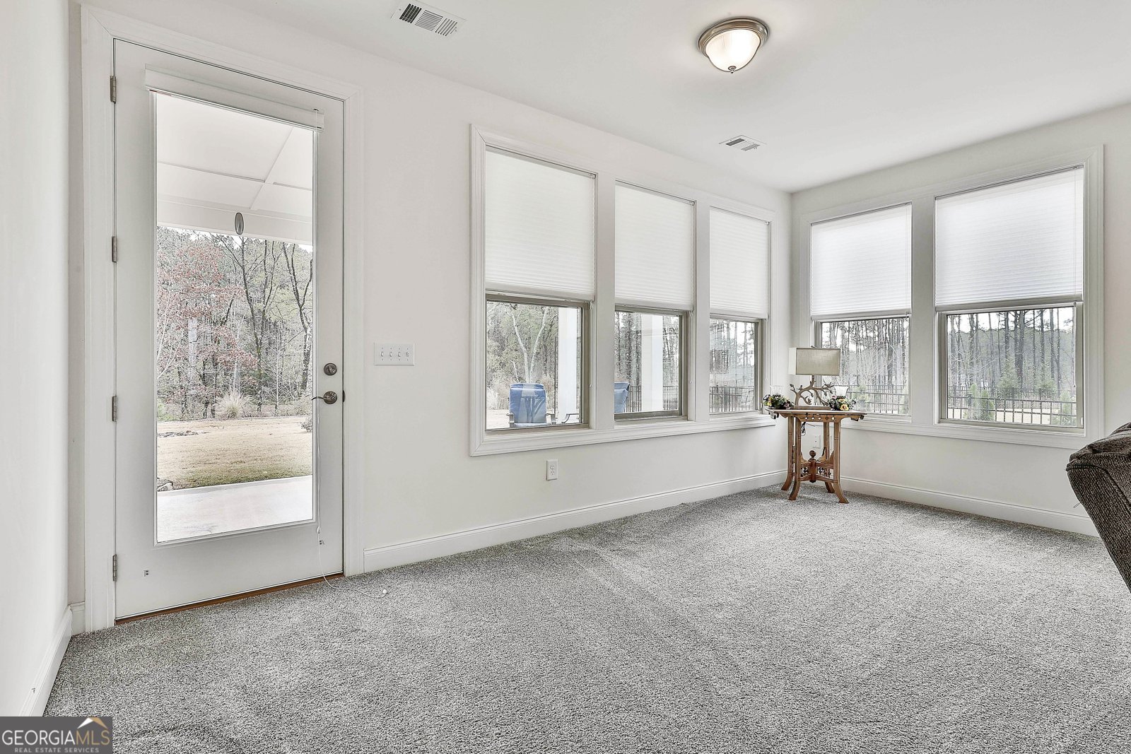 541 Hazelnut Drive Peachtree City - 19