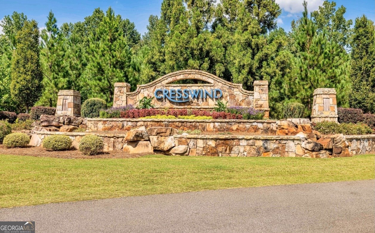 541 Hazelnut Drive Peachtree City - 46