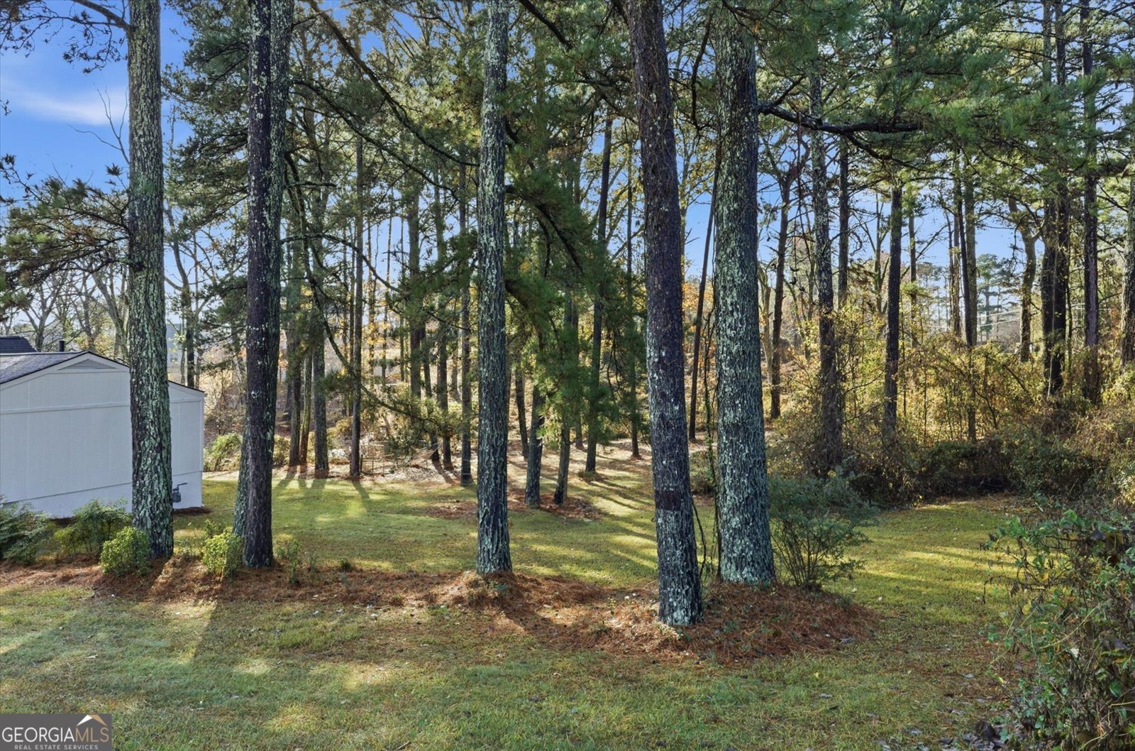 6145 Plumcrest Road Douglasville - 32