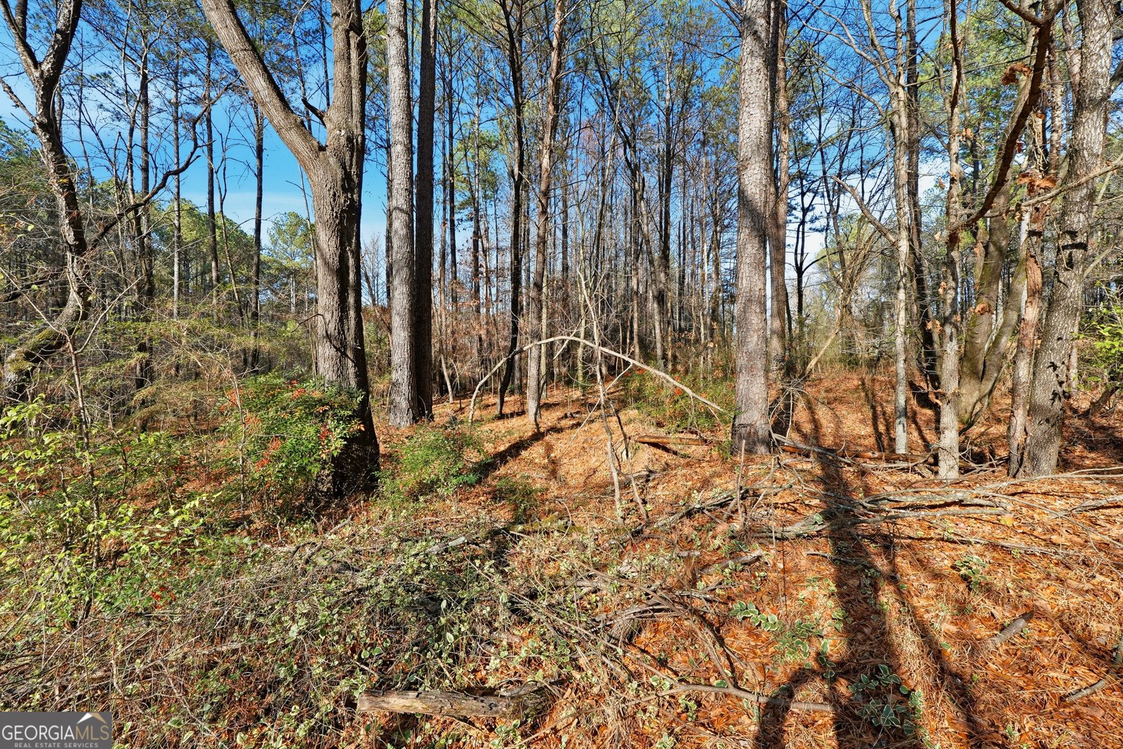 92 Vaughn SPUR Cartersville - 18