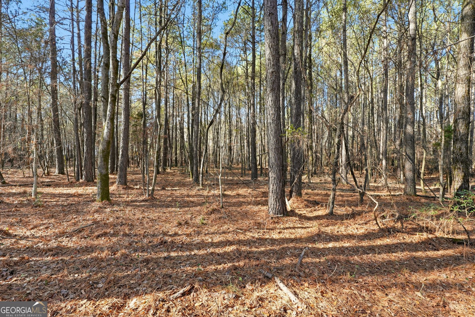 92 Vaughn SPUR Cartersville - 19