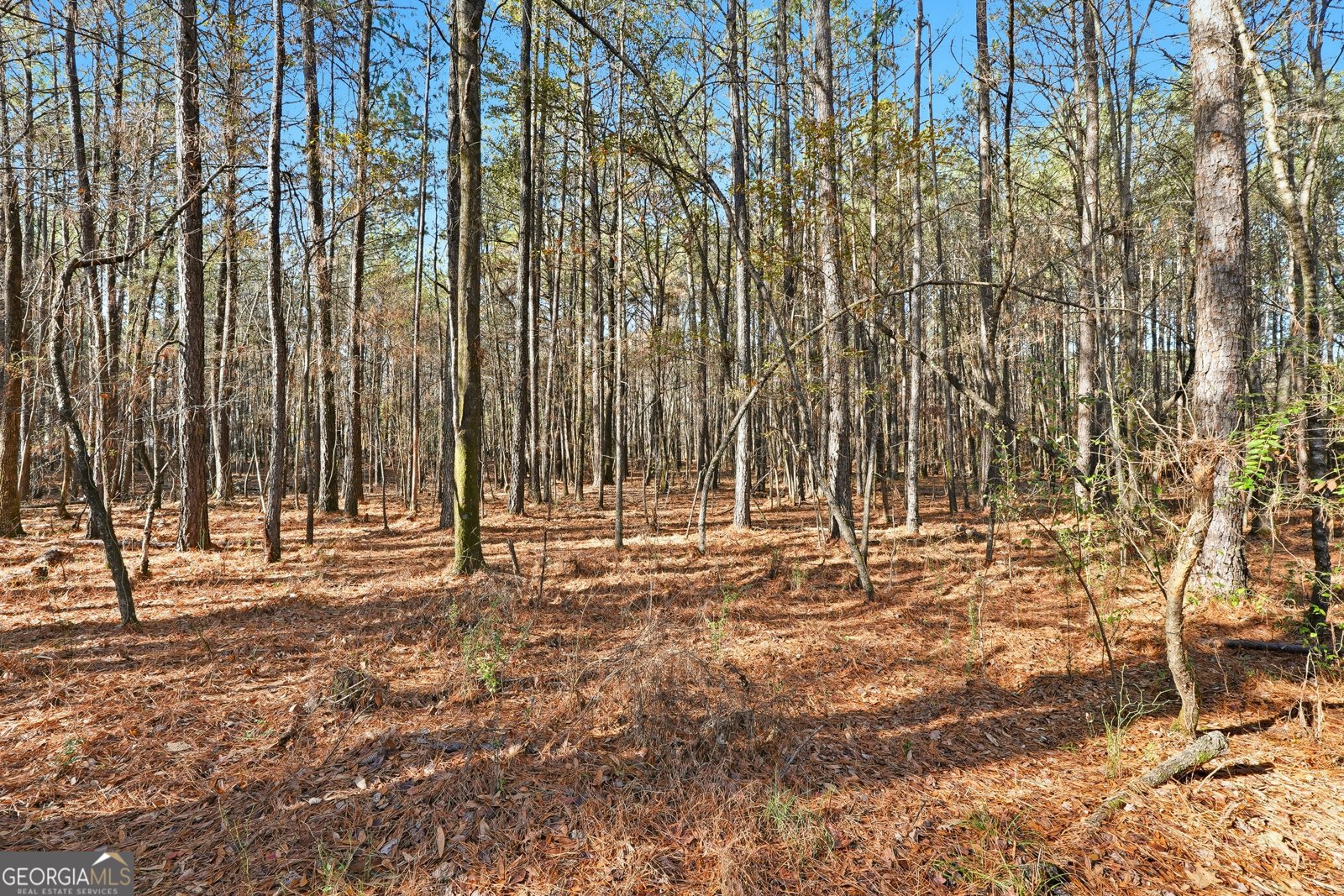 92 Vaughn SPUR Cartersville - 20