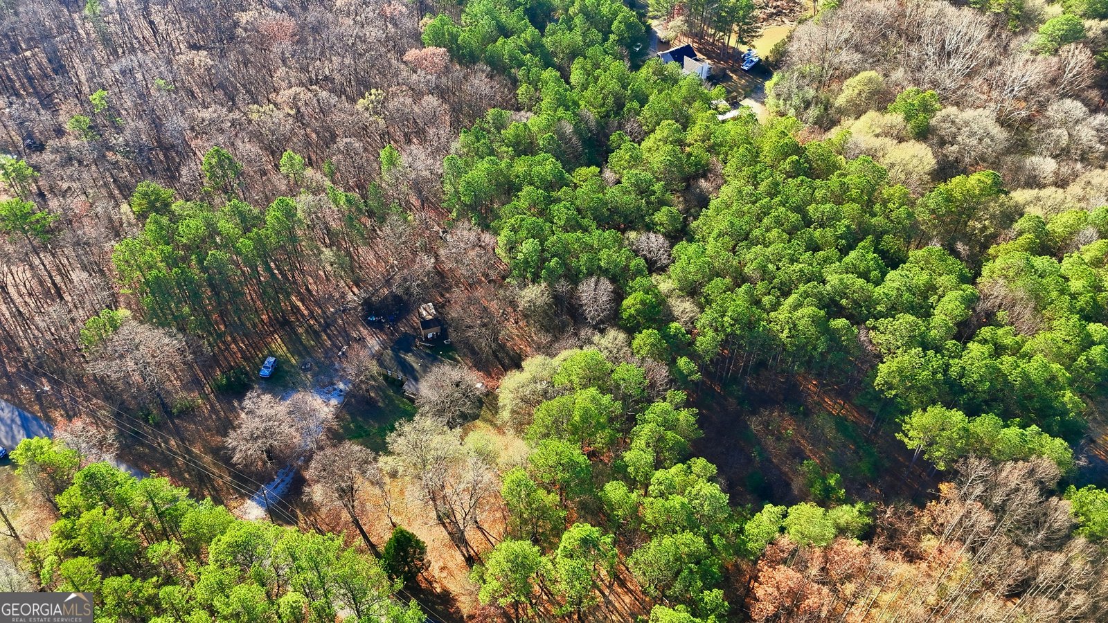 92 Vaughn SPUR Cartersville - 29