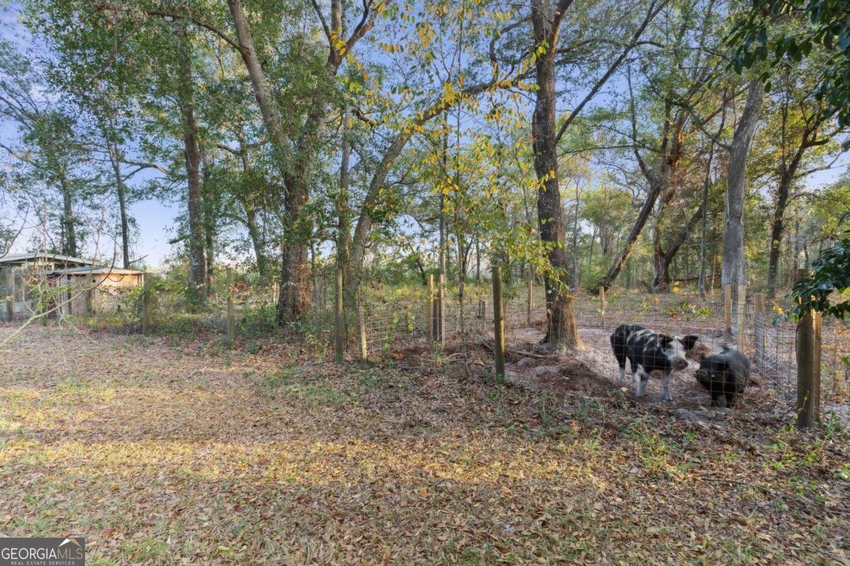 255 Spell Landing Road Hortense - 25