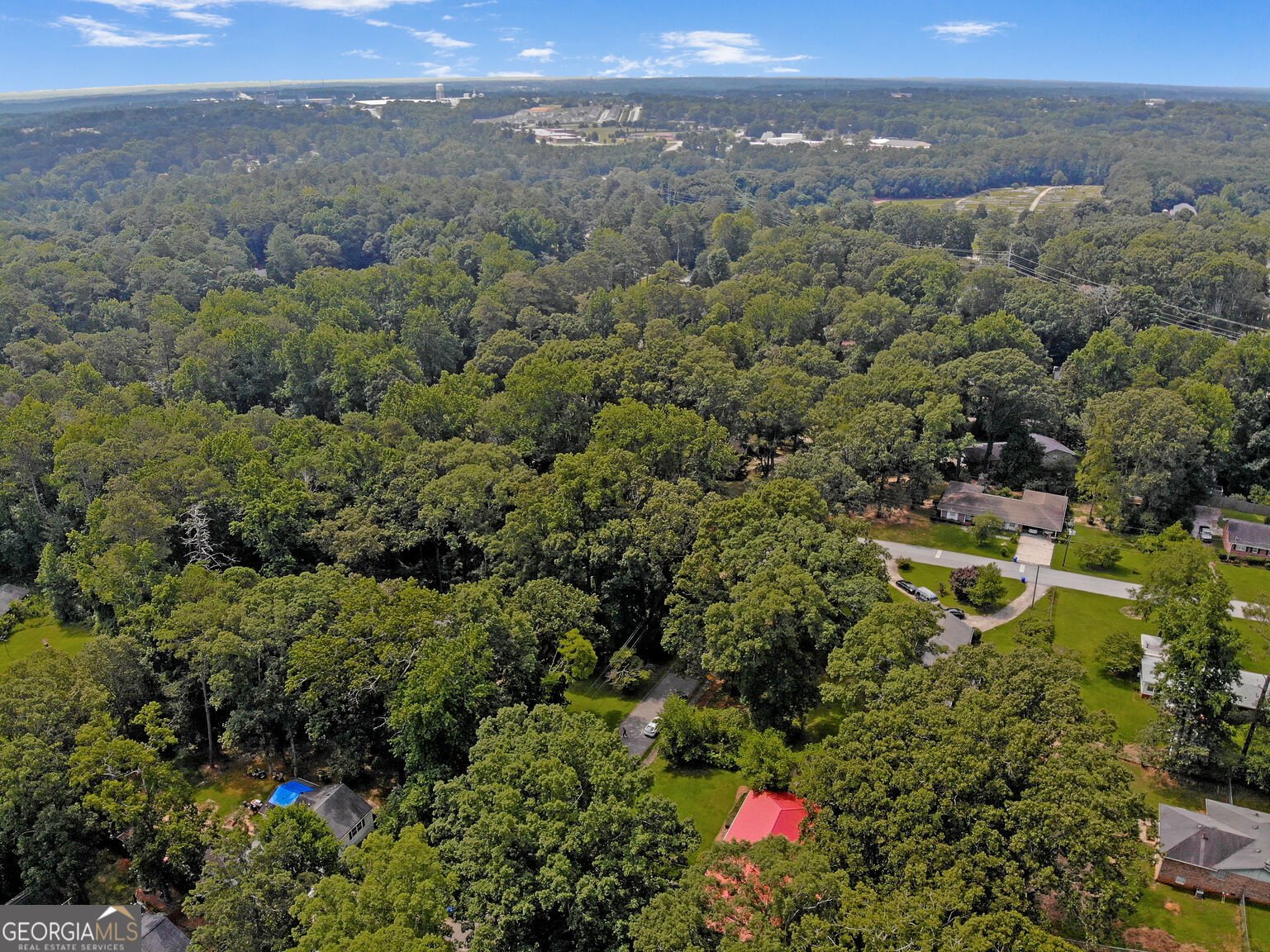 1254 Woodland Road Conyers - 26