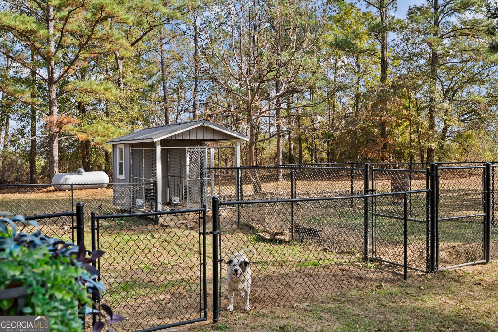 84 Weaver Lane Buena Vista - 38