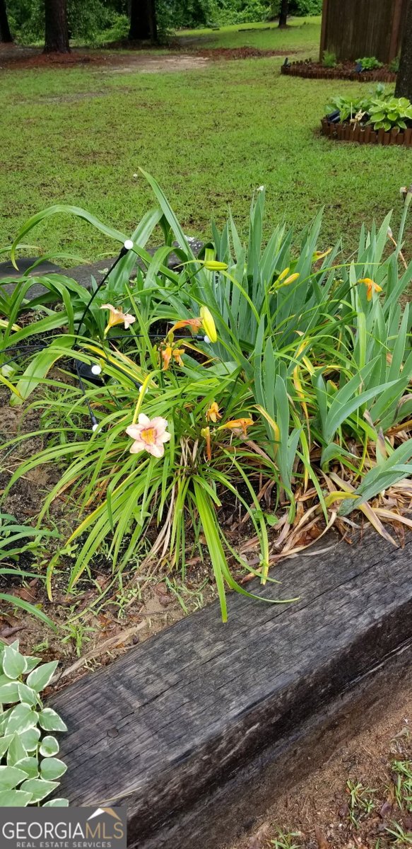 84 Weaver Lane Buena Vista - 61