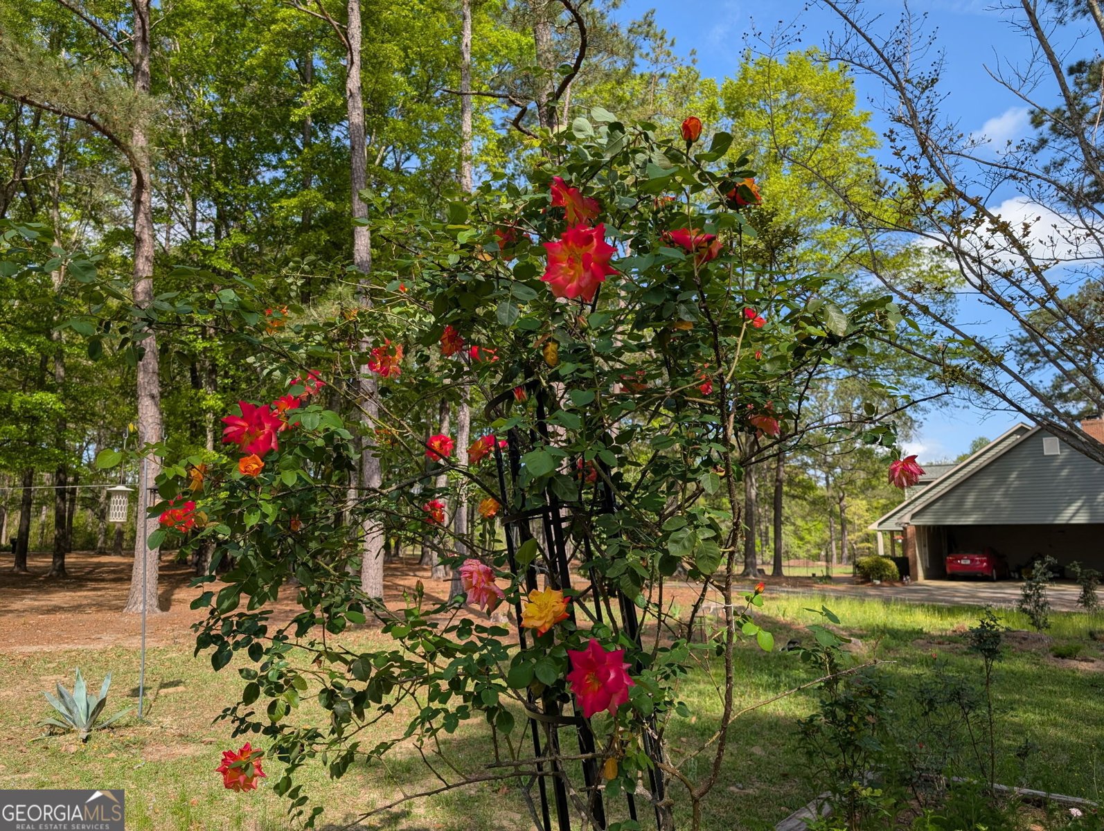 84 Weaver Lane Buena Vista - 63