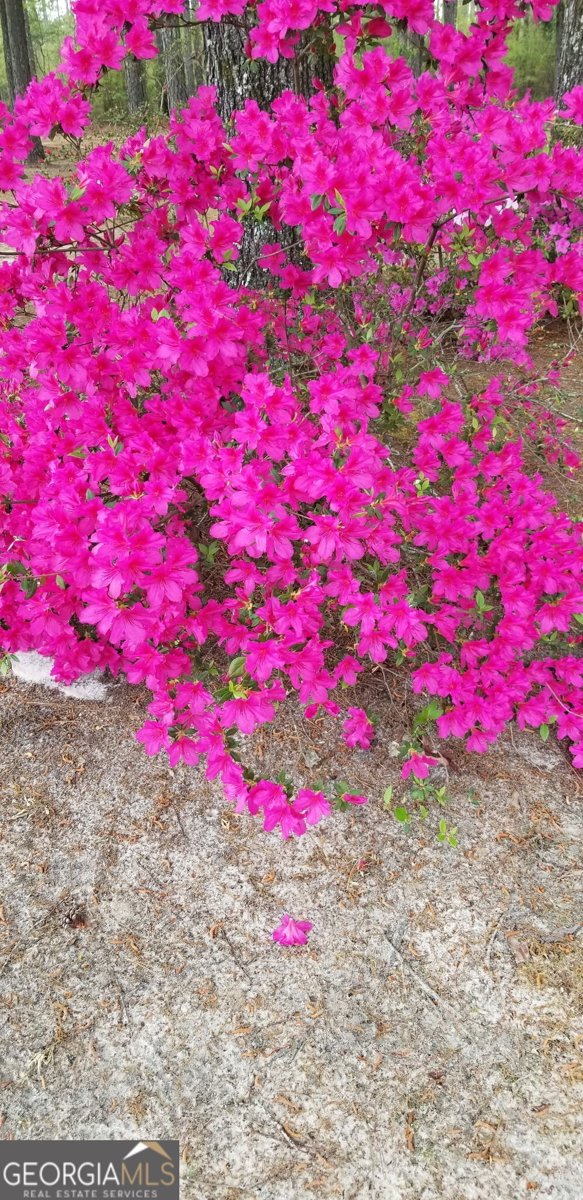 84 Weaver Lane Buena Vista - 65