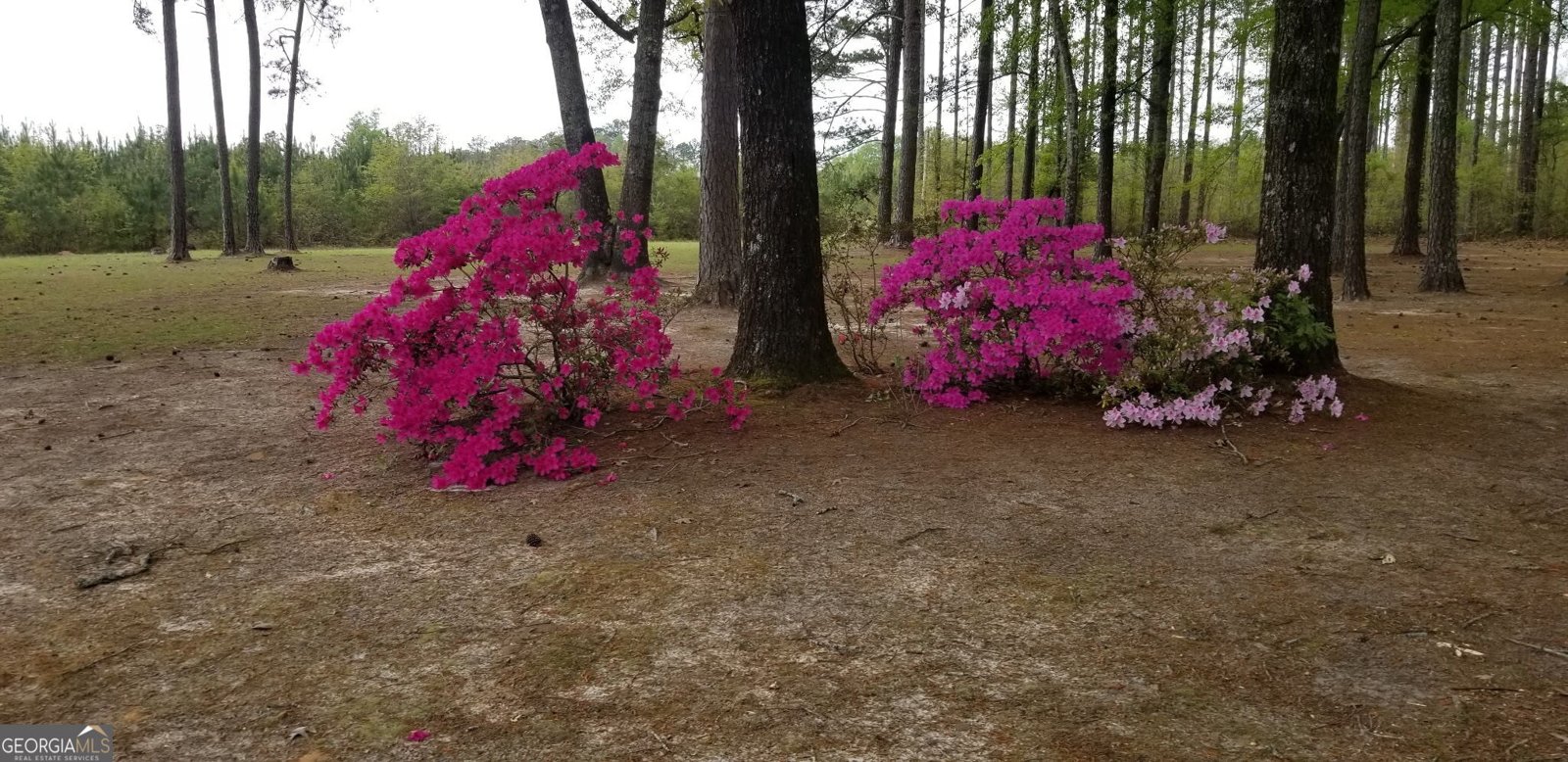 84 Weaver Lane Buena Vista - 68