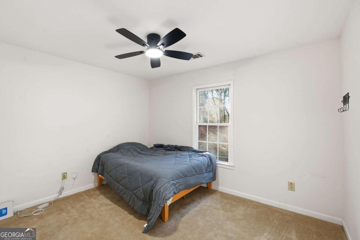 745 Country Lake Court Mcdonough - 19