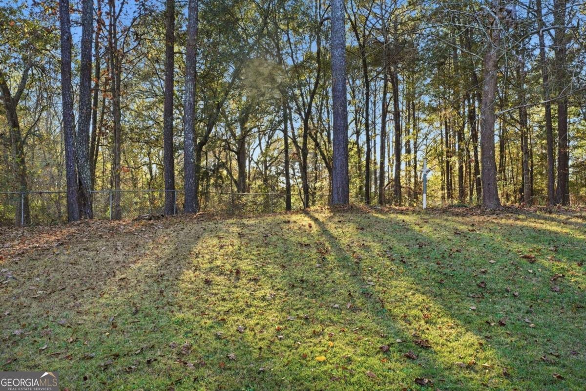 745 Country Lake Court Mcdonough - 32