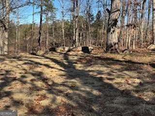 85 Waterloo Drive Dahlonega - 6