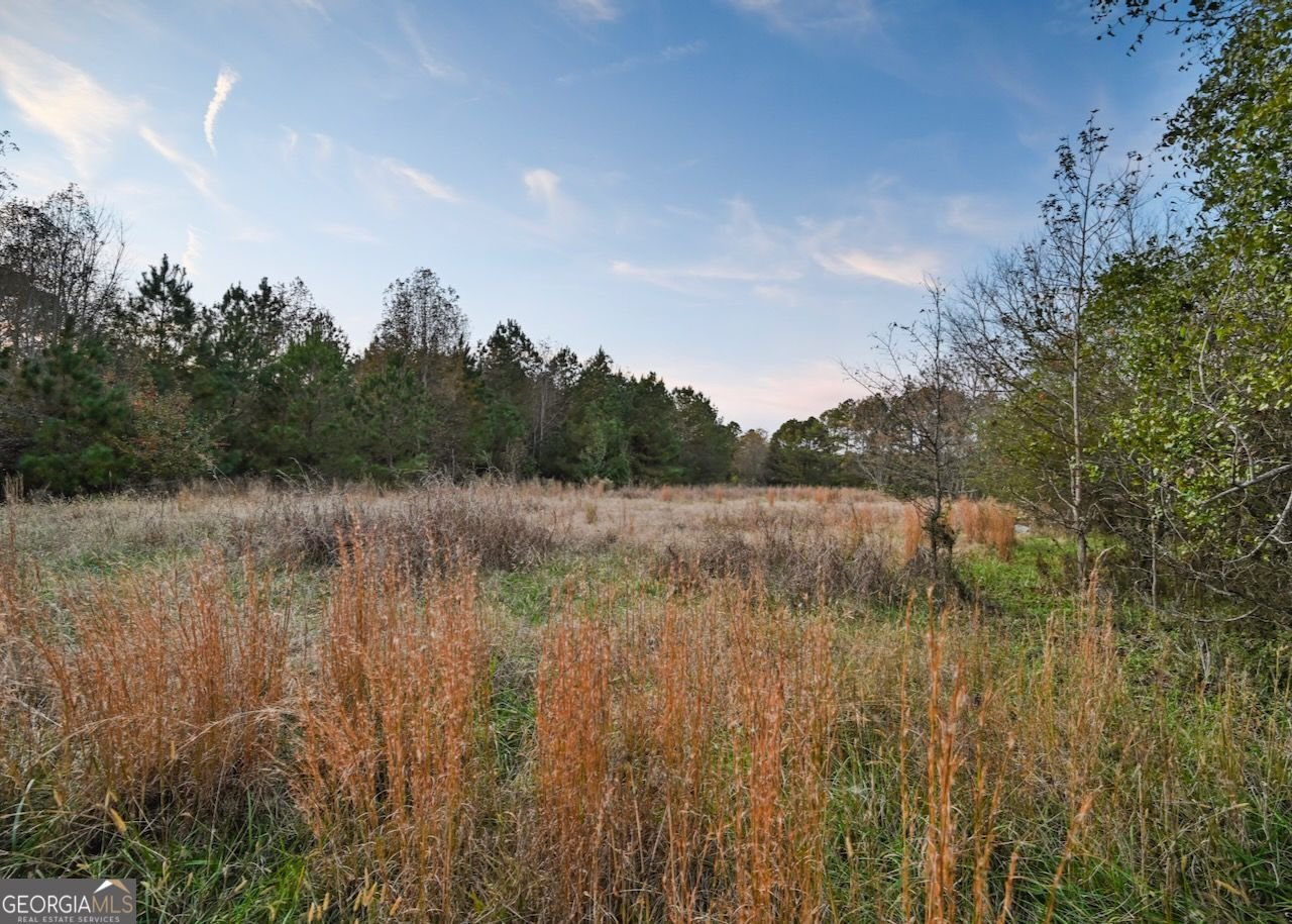 4000 Bostwick Highway Madison - 12