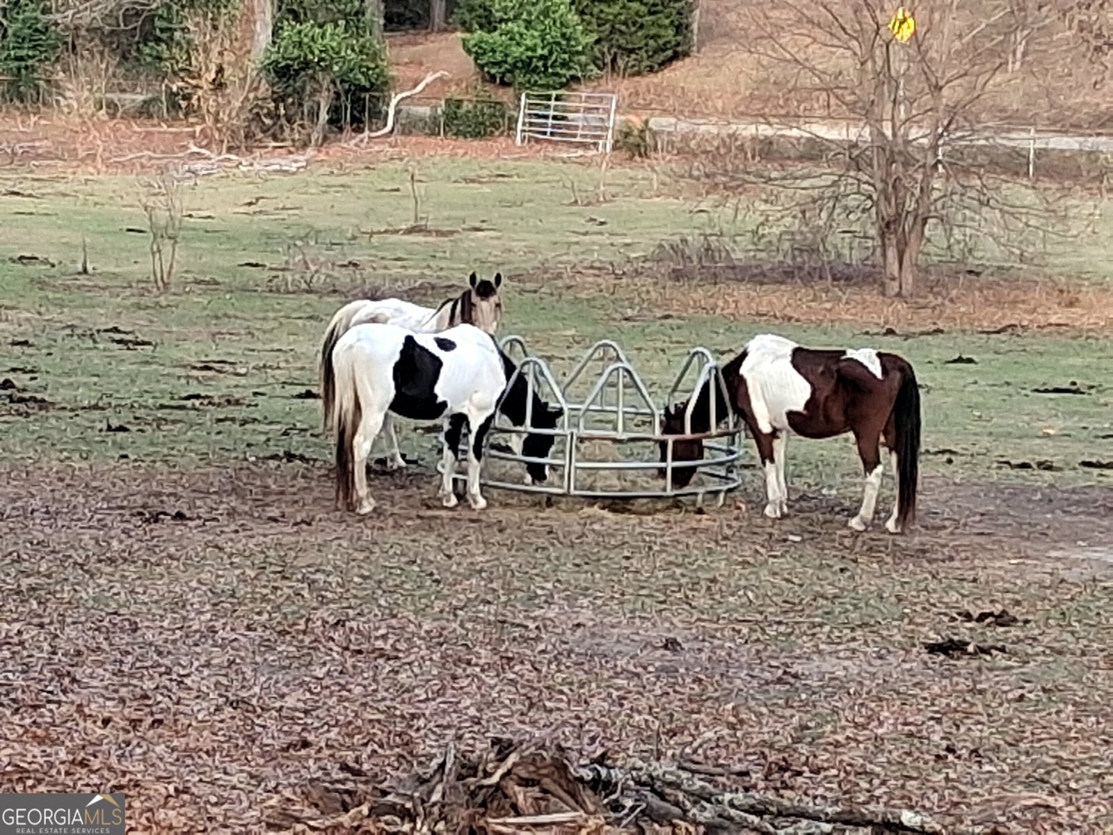 152 Main Street Gordon - 7