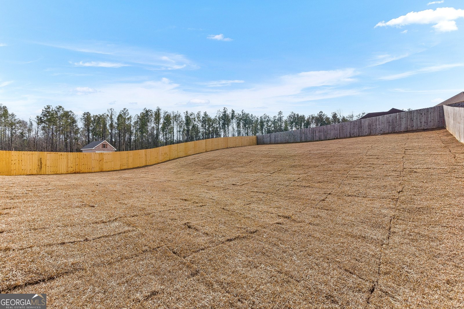 207 Golden Chestnut Bend Bonaire - Photo 50