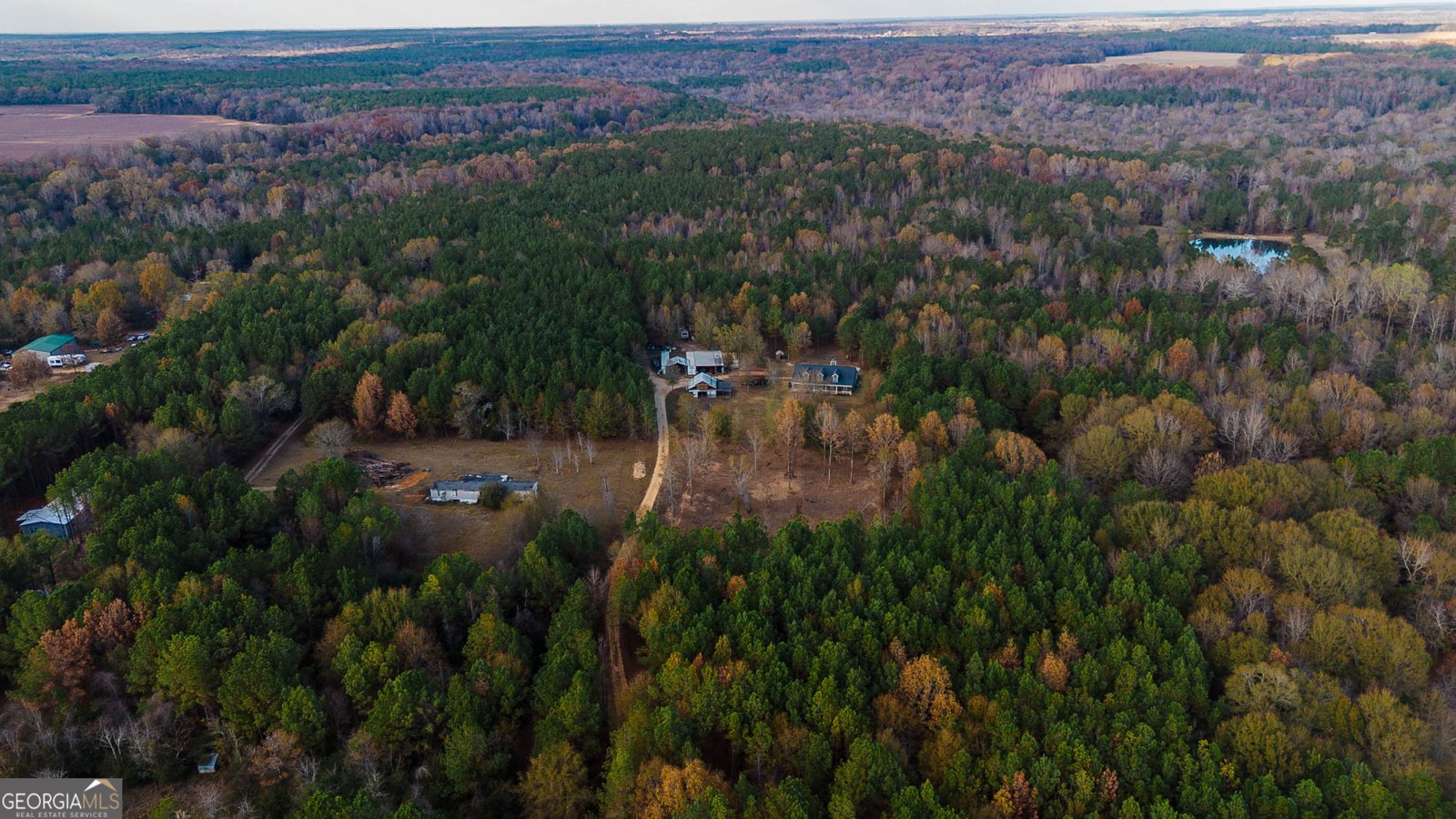 118 County Line Road Hawkinsville - 11