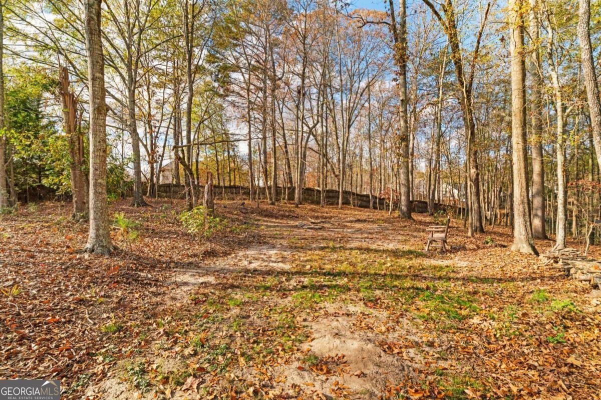 134 Cedar Bay Circle Dallas - 49