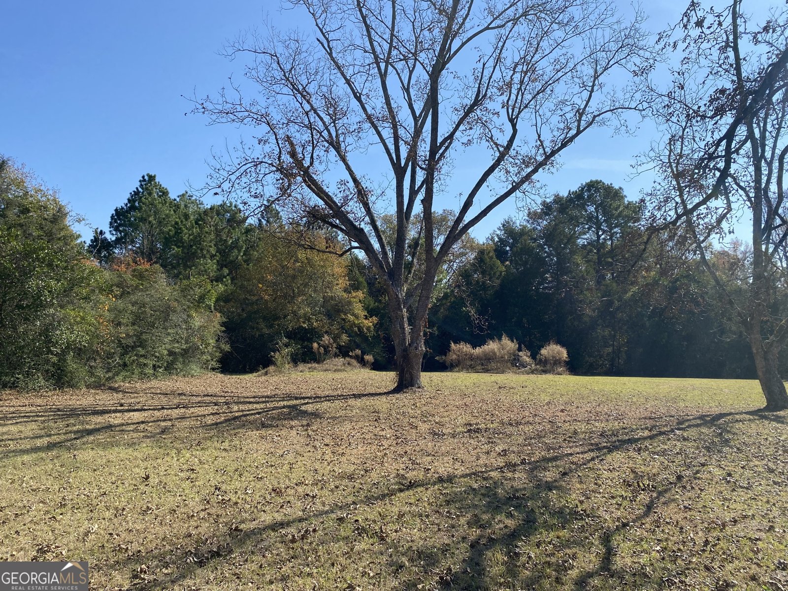 1005 Pleasant Springs Church Road East Dublin - 6