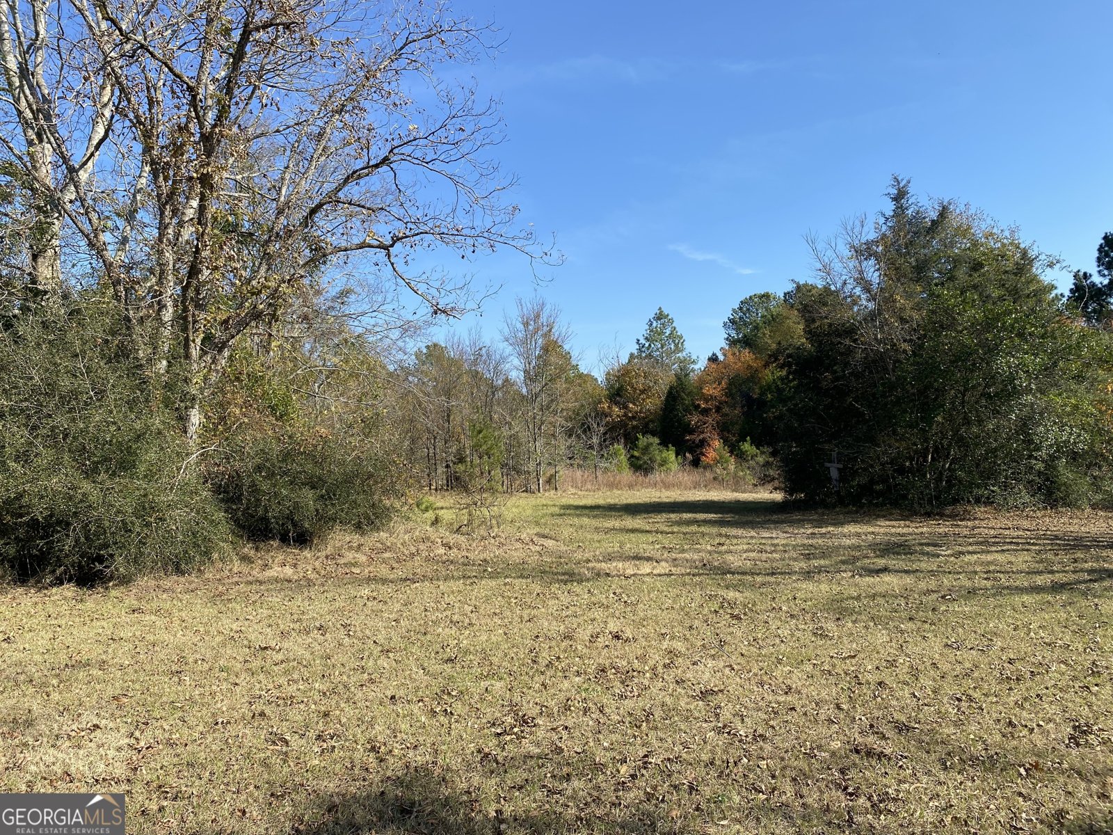 1005 Pleasant Springs Church Road East Dublin - 8