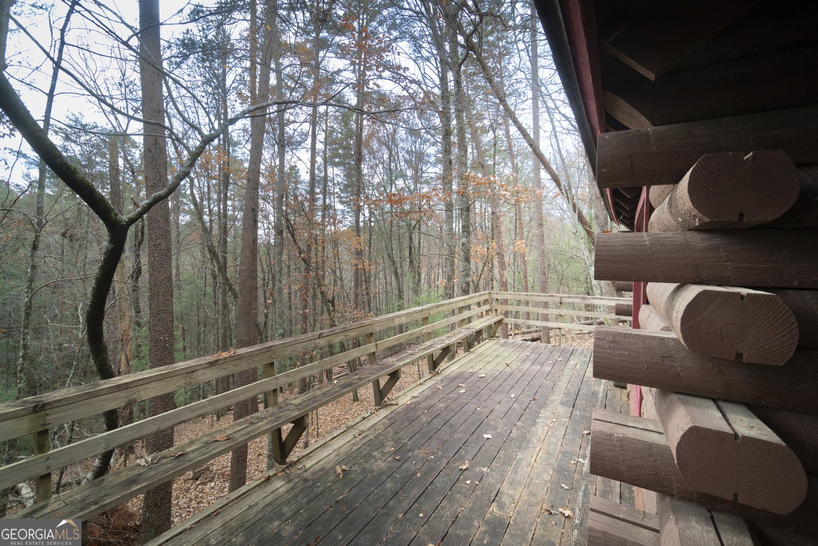 2019 Sautee Trail Sautee Nacoochee - 5