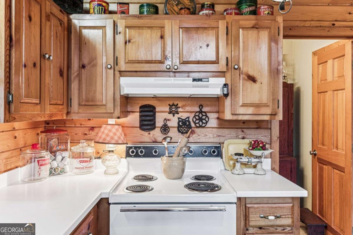 205 Laurel Branch Dawsonville - 16