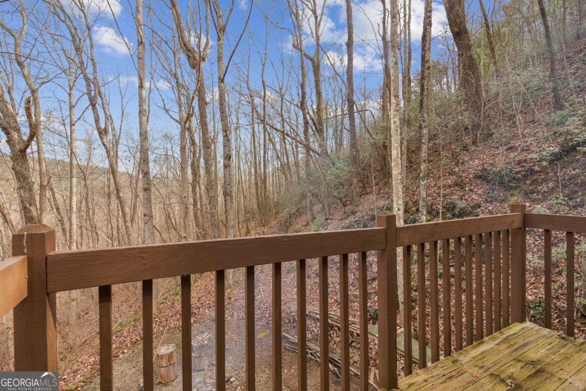 205 Laurel Branch Dawsonville - 29