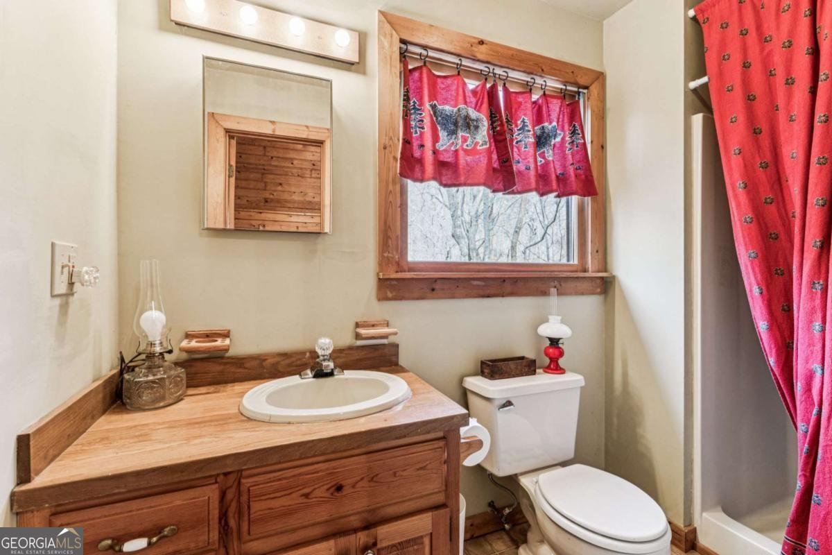 205 Laurel Branch Dawsonville - 31