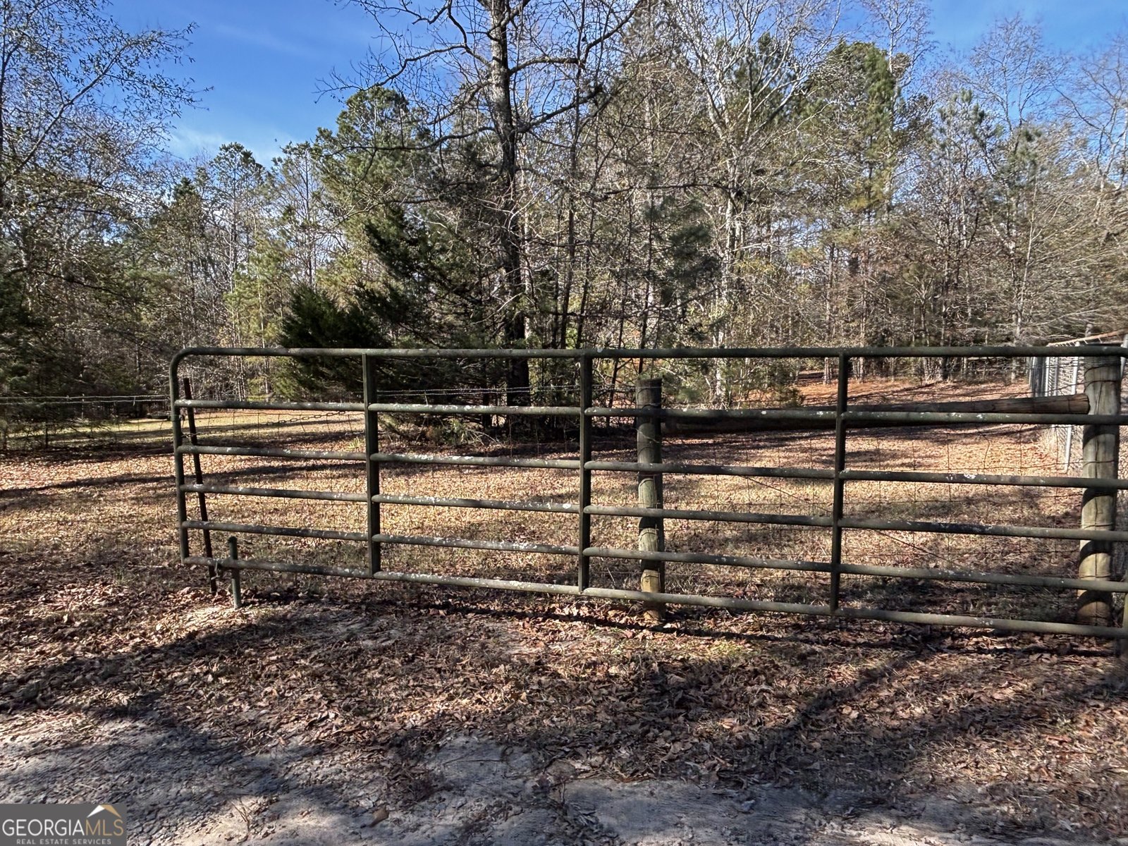 3848 Concord Road Newborn - 10