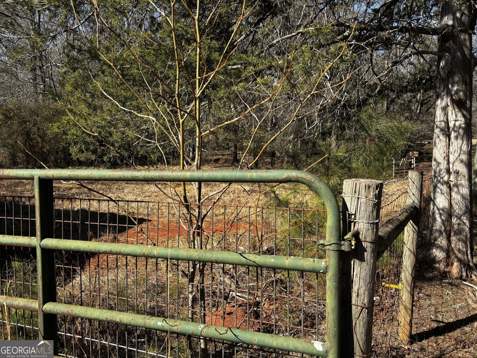 3848 Concord Road Newborn - Photo 38