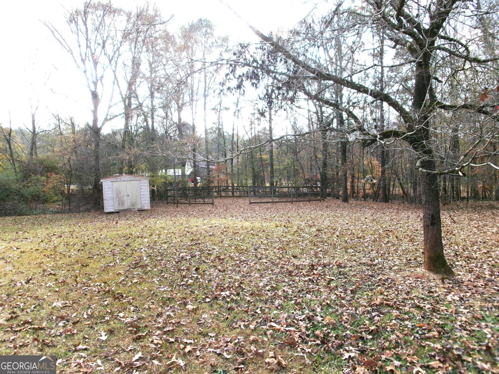 3848 Concord Road Newborn - 5