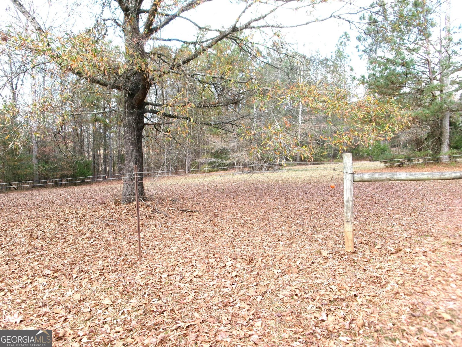 3848 Concord Road Newborn - 6