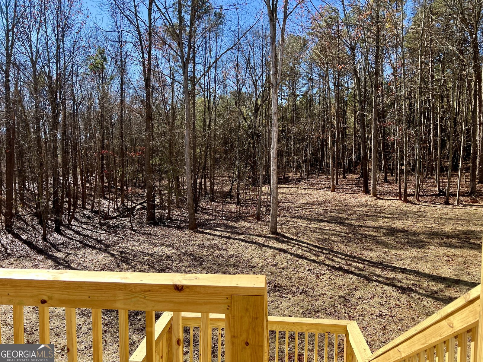 327 Primrose Lane Pendergrass - 28