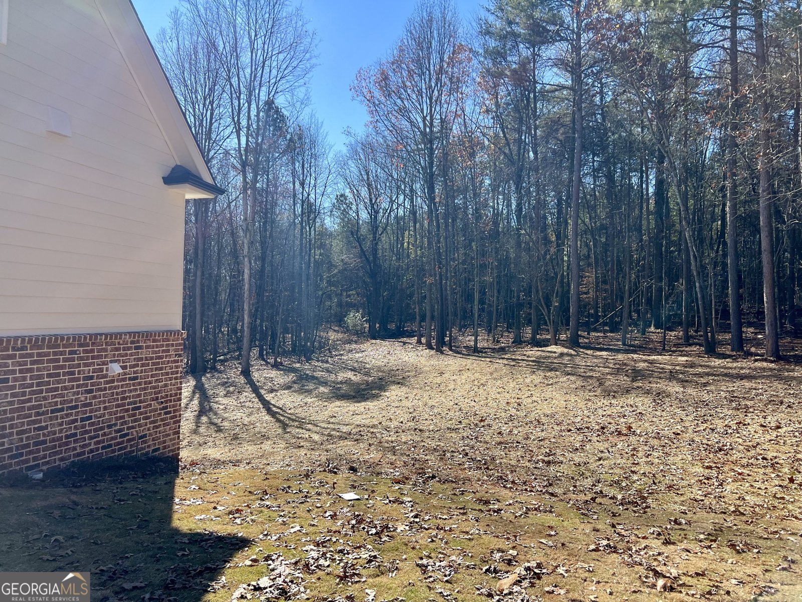 327 Primrose Lane Pendergrass - 35