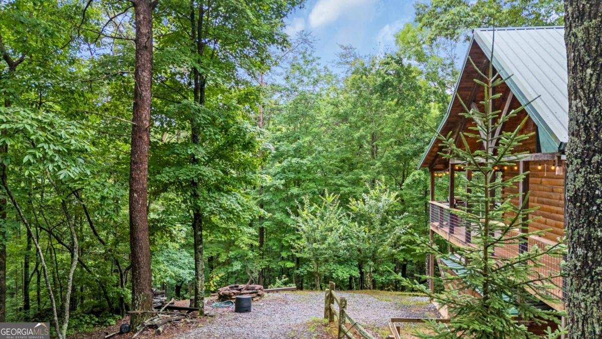 165 Hunter Ridge Ellijay - 6