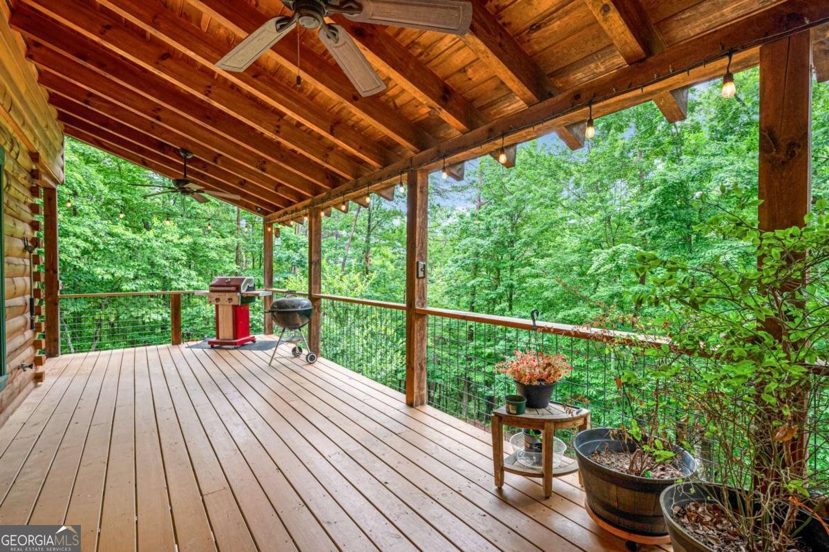 165 Hunter Ridge Ellijay - 7