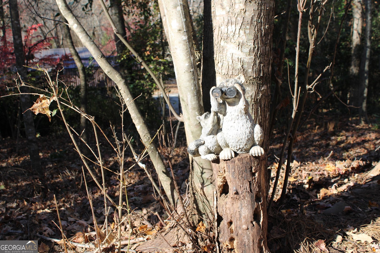 79 Maplewood Cleveland - 18