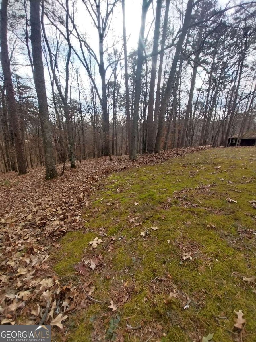 1376 Robinson Road Dahlonega - 16